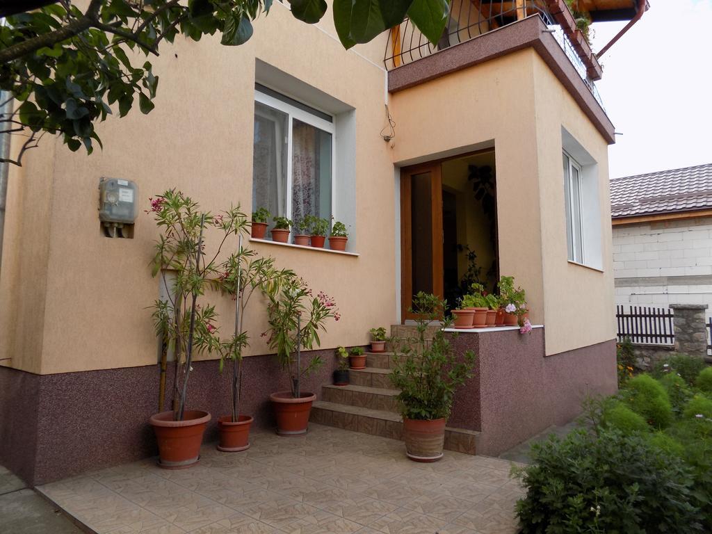 Casa Teo Apartment Hunedoara Exterior photo